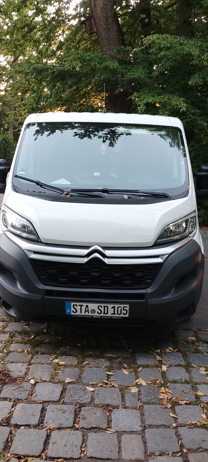 Amir Dzemo - Professioneller Hausmeister